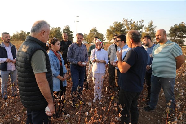 Şanlıurfa Valisi Şıldak, Ceylanpınar Tarım İşletmesinde incelemelerde bulundu