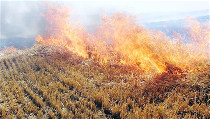 Şanlıurfa'da Anız Yangınlarına Yönelik Ceza Uygulamaları Artırıldı