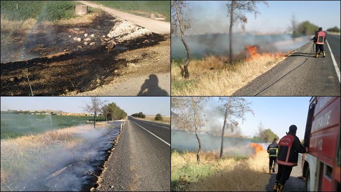 Şanlıurfa'da Anız yangını: itfaiye müdahale etti