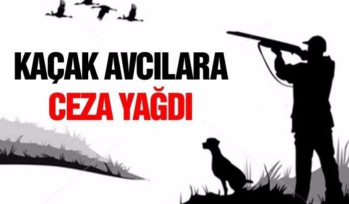 Şanlıurfa'da kaçak avlanan 4 kişiye cezai işlem uygulandı