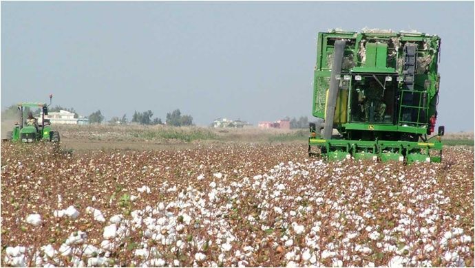 Şanlıurfa’da preseli pamuk rekor kırdı