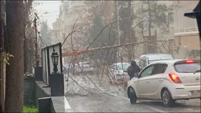 Şanlıurfa'da sağanak yağış etkili oldu