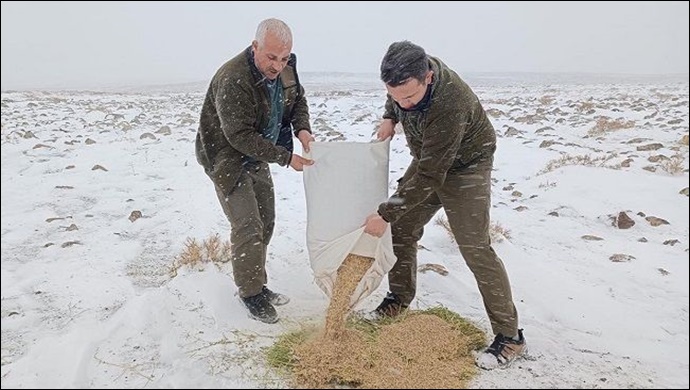 Şanlıurfa'da yaban hayvanları için doğaya yem bırakıldı