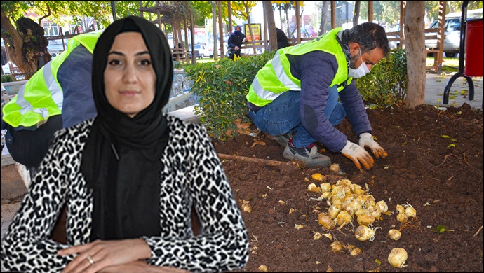 Siverek’i ‘ağlayan gelin’ süsleyecek