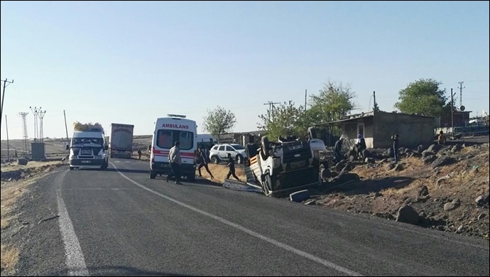 Siverek'te kamyonet şarampole yuvarlandı