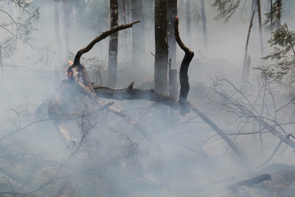 Uşak'taki orman yangınları kontrol altına alındı