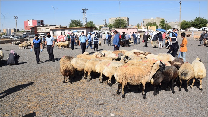 Viranşehir'de Zabıtadan Maske ve hijyen denetimi