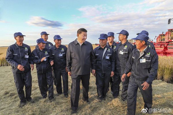 Xi Jinping’in gıda güvenliği kavramı