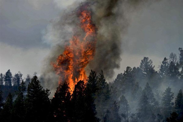 Antalya Aksu'da orman yangını