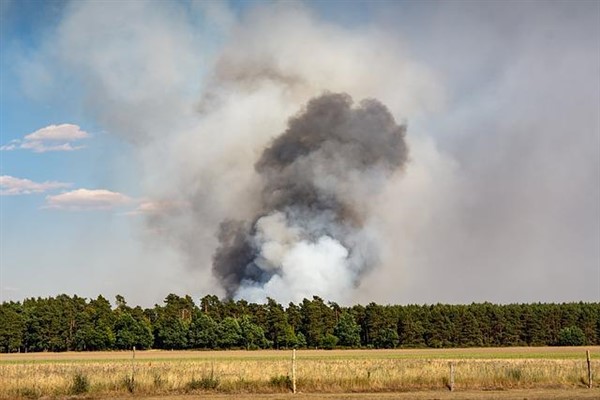 Çukurova'da orman yangını