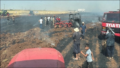Şanlıurfa'da 300 Dönüm Buğday Tarlası ve Traktör Yangında Kül Oldu-(VİDEO)