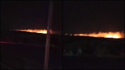 Şanlıurfa'nın Karaköprü İlçesinde Orman Yangını