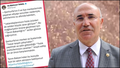 Tanal'dan Tarım Bakanlığı'na Çağrı:“Şanlıurfalı Fıstık Üreticilerinin Zararları Karşılanmalı