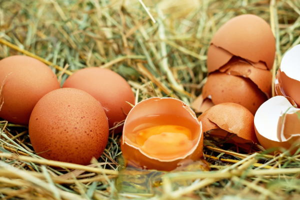 TÜİK-Tavuk yumurtası üretimi Nisan'da yıllık yüzde 3,7 artışla 1,71 milyar adete yükseldi